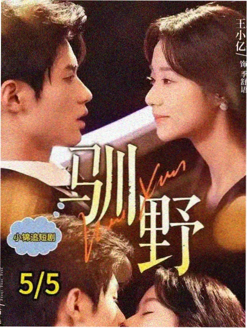 胶片颗粒与数字噪点对比图解